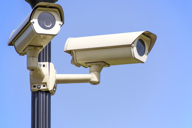 Het ultieme gids voor thuisbeveiliging: veiligheidstips en trends